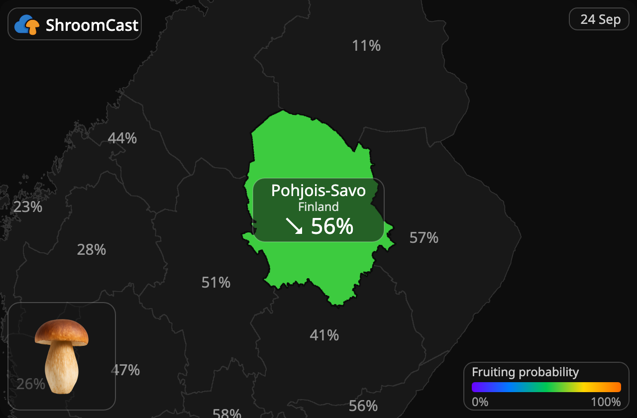 Cèpe Pohjois-Savo