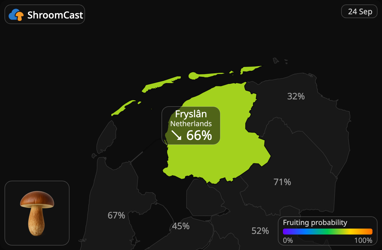 Ruskotatti Fryslân