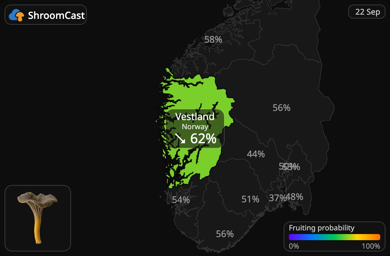 Finferla Vestland
