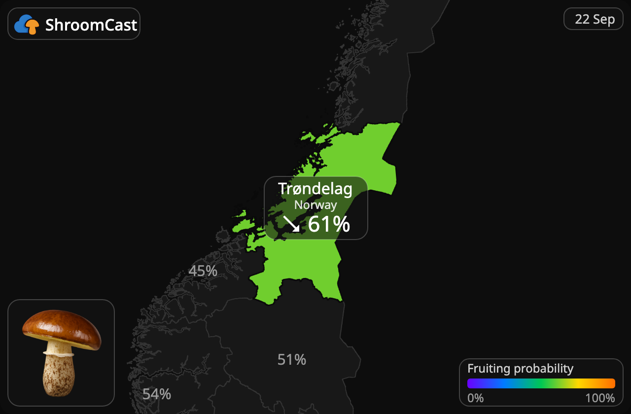 Voitatti Trøndelag