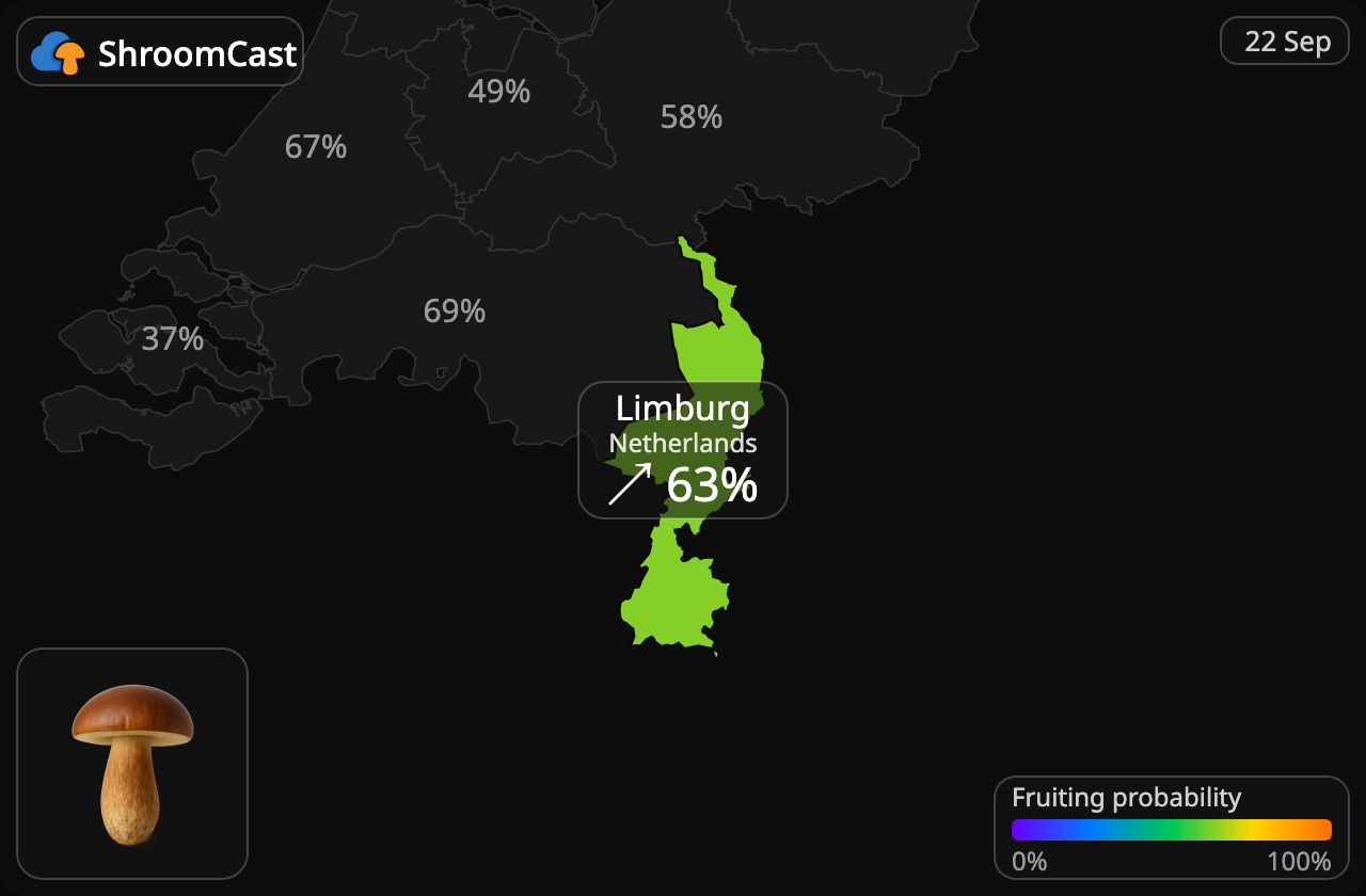 Brunsopp Limburg