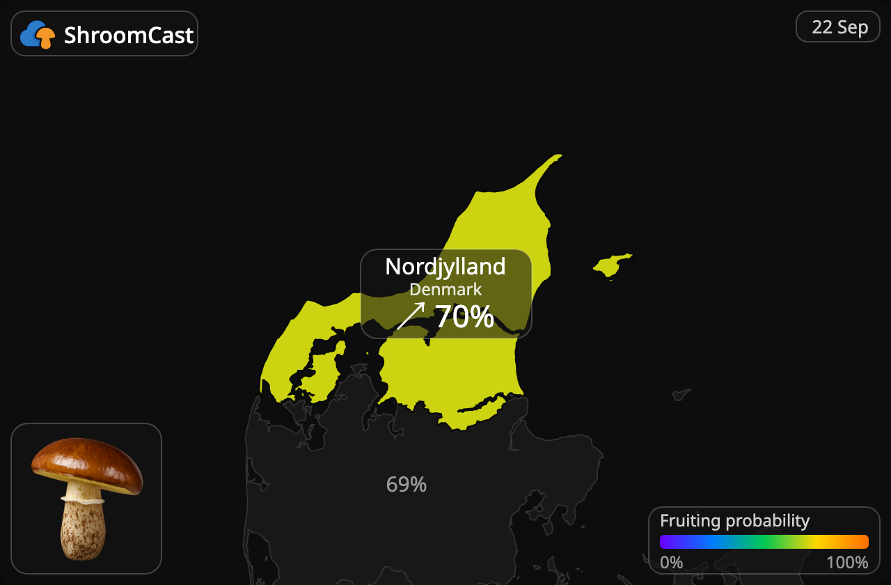 Slippery Jack Nordjylland