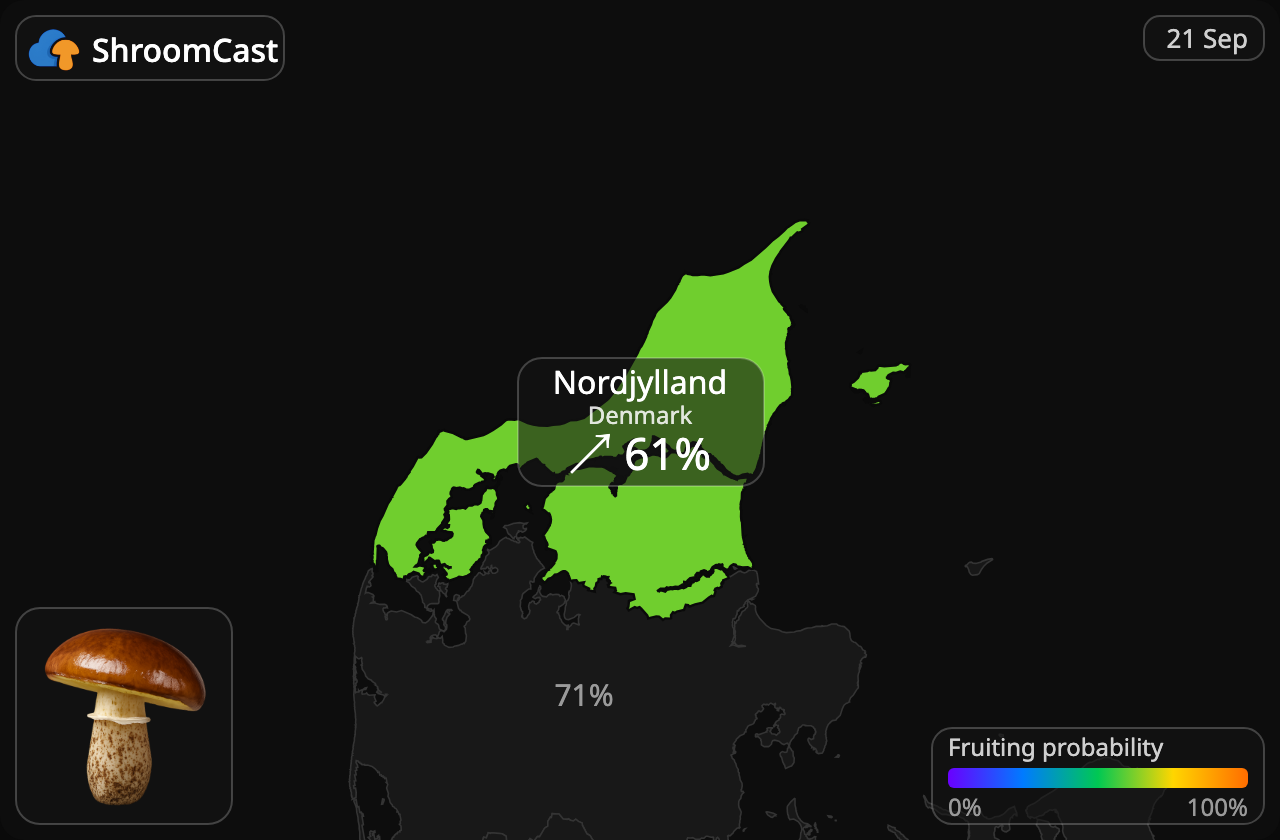 Smörsopp Nordjylland