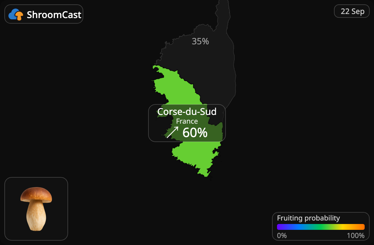 Karl Johan Corse-du-Sud