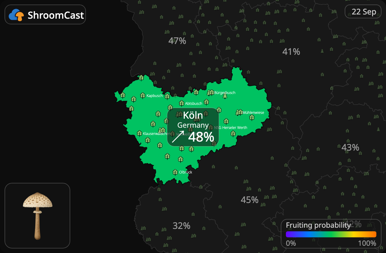 Ukonsieni Köln