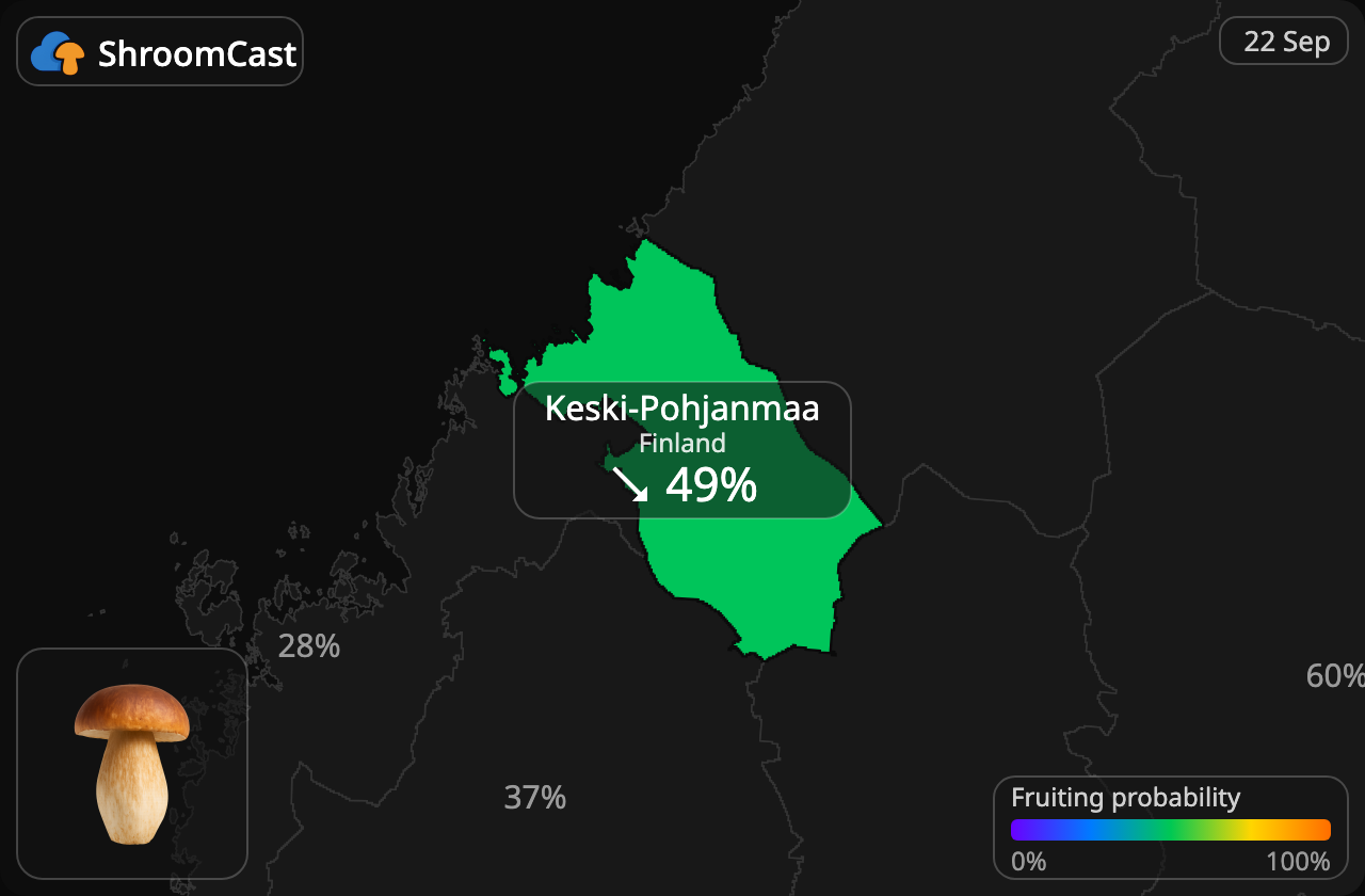 Eekhoorntjesbrood Keski-Pohjanmaa