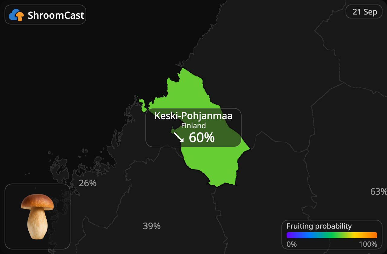 Eekhoorntjesbrood Keski-Pohjanmaa