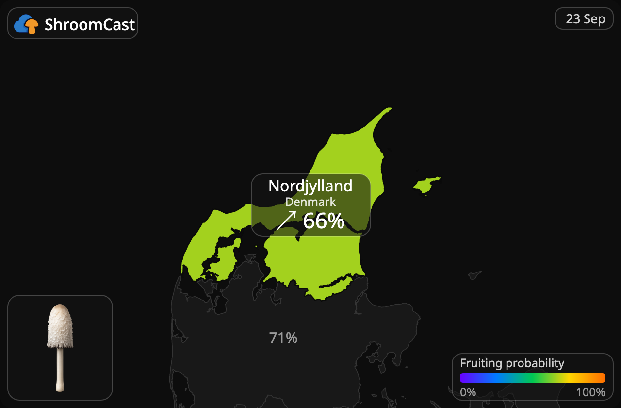 Гнойовик білий Nordjylland
