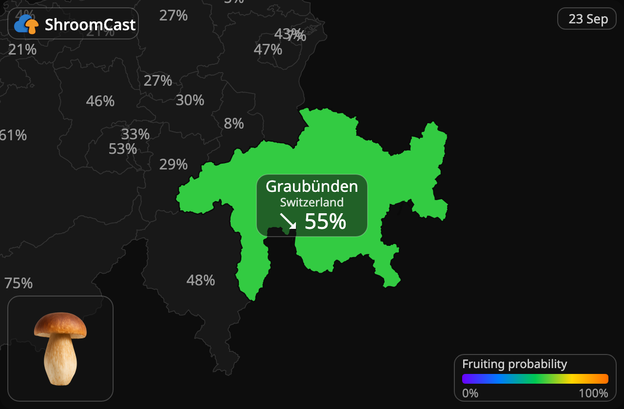 Karljohan Graubünden