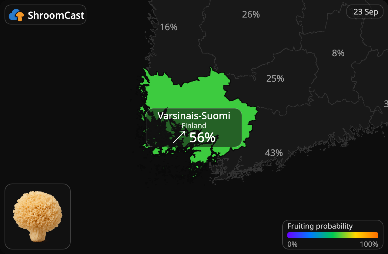 Blomkålsopp Varsinais-Suomi