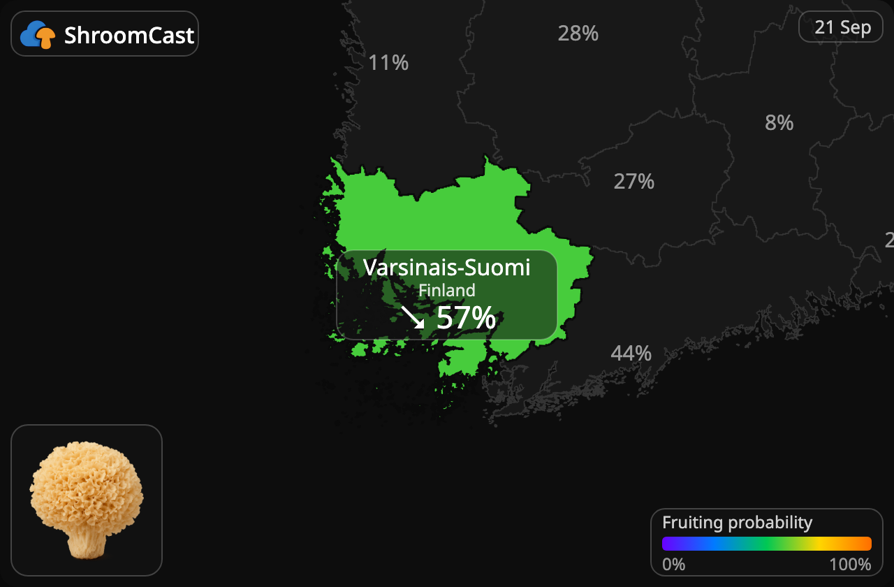 Kurttusieni Varsinais-Suomi