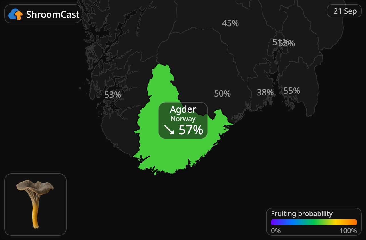 Finferla Agder