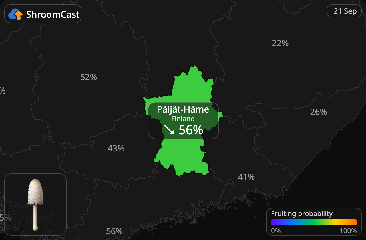 Parykblækhat Päijät-Häme