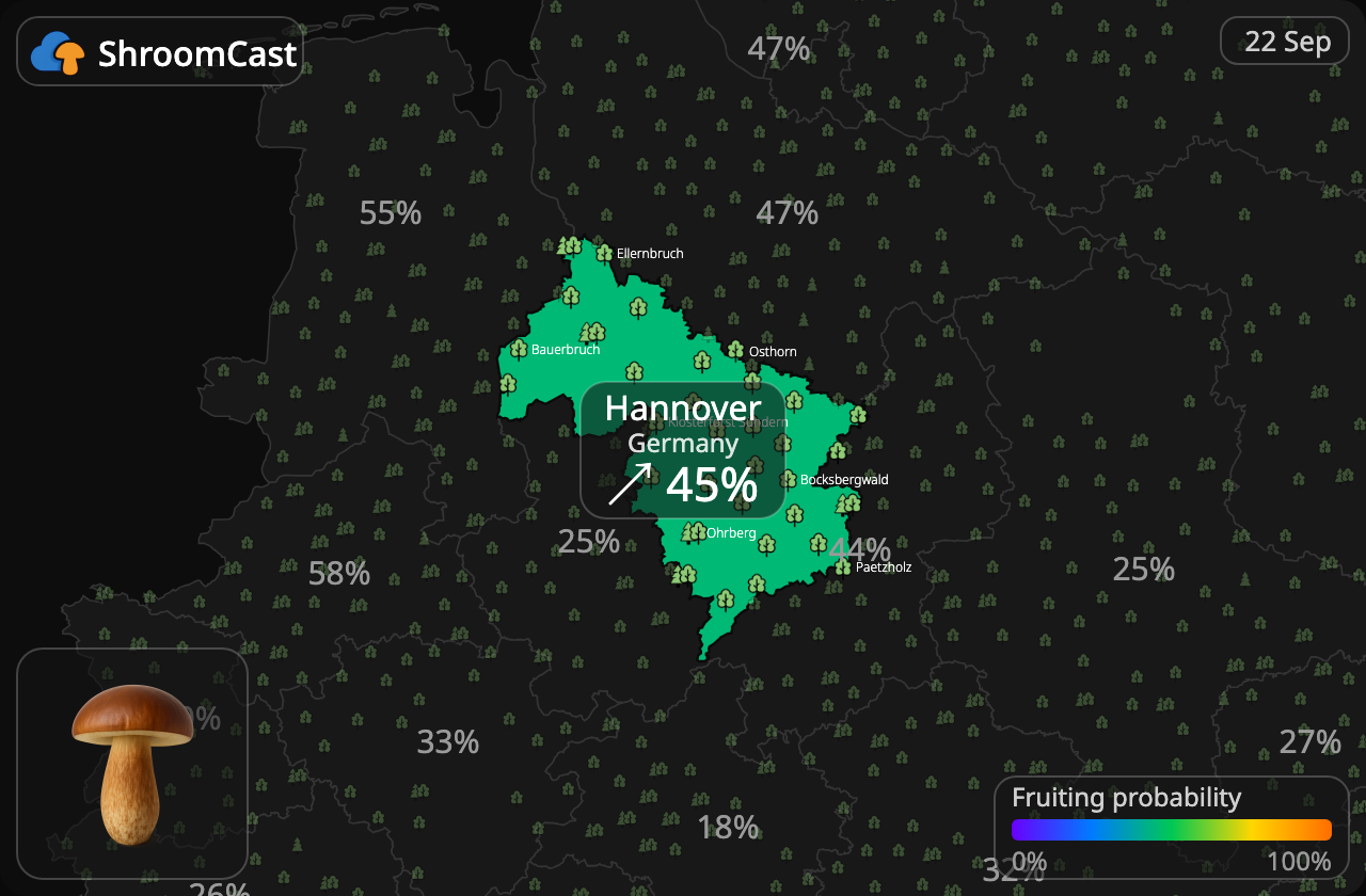 Bolet bai Hannover
