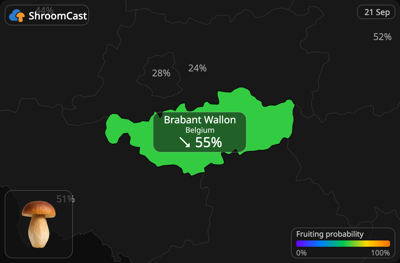 Herkkutatti Brabant Wallon