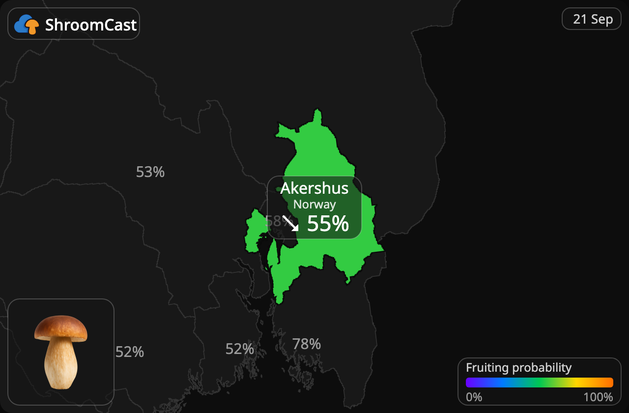 Herkkutatti Akershus