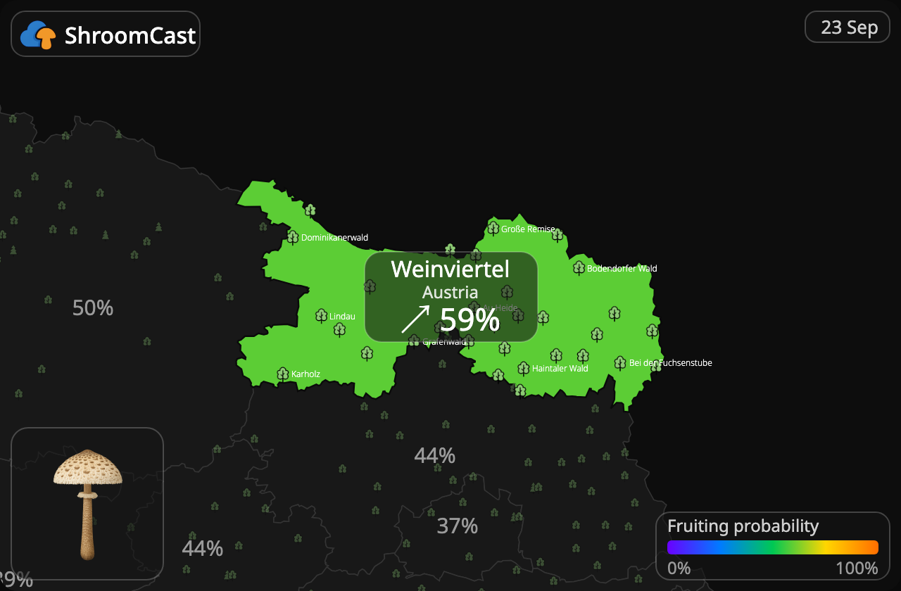 Kania Weinviertel