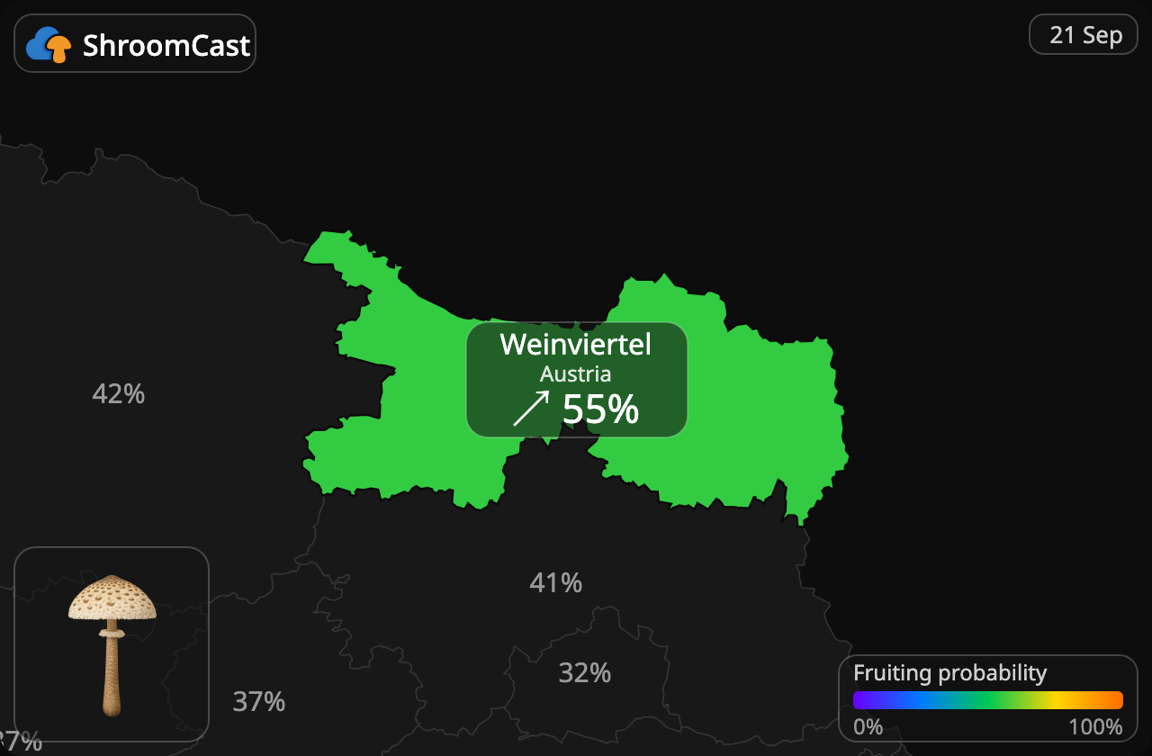 Ukonsieni Weinviertel