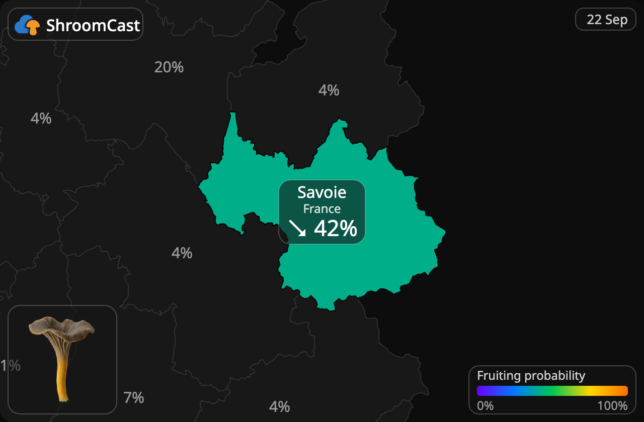 Finferla Savoie