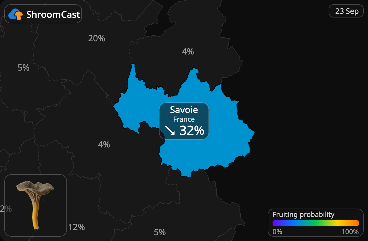 Suppilovahvero Savoie