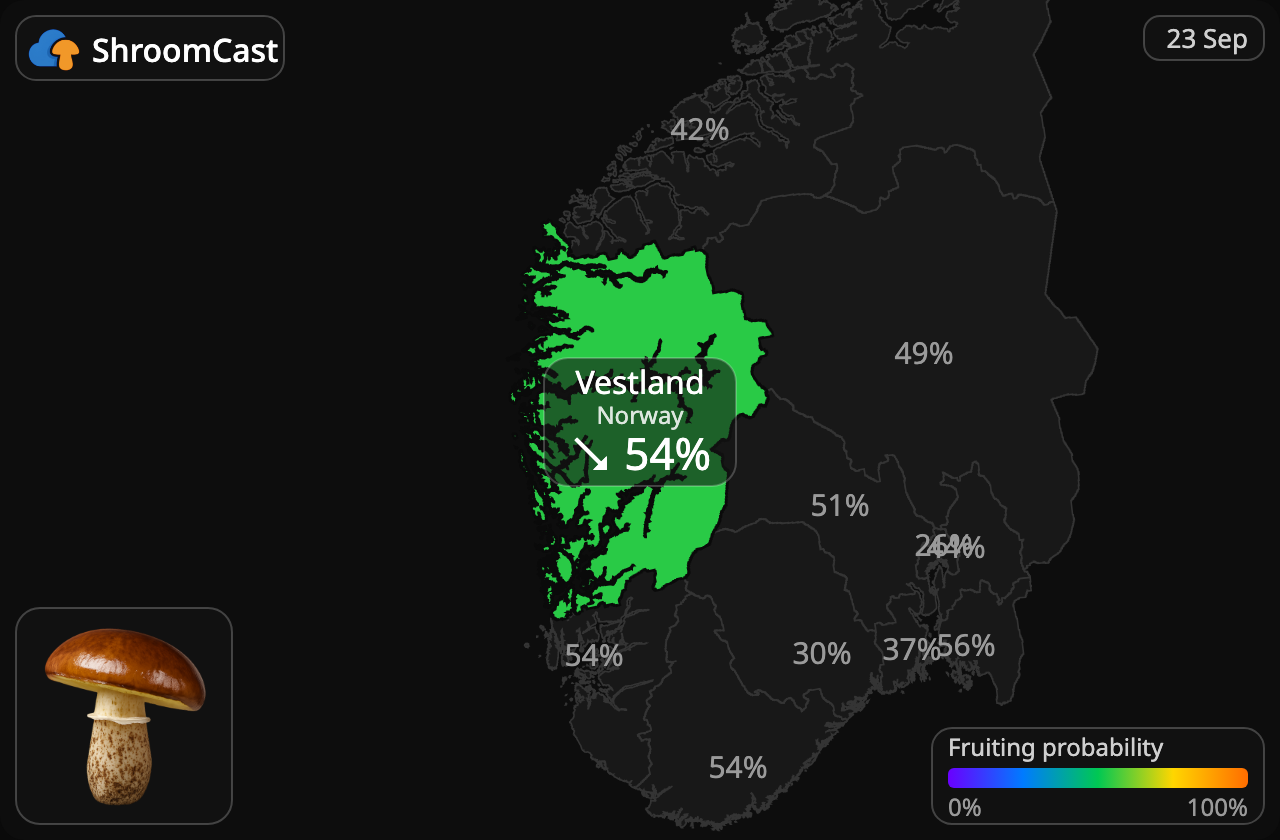 Butterpilz Vestland