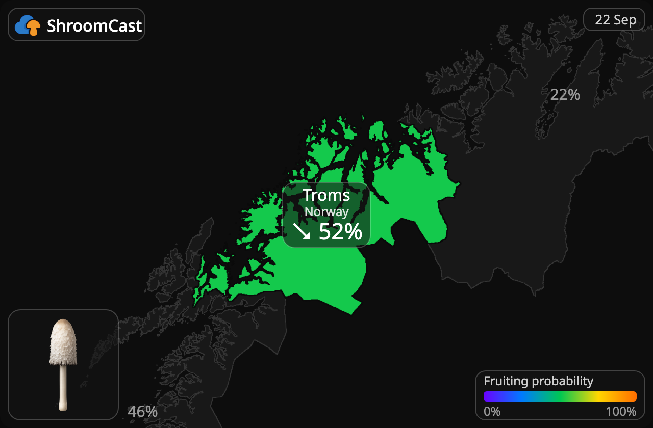 Suomumustesieni Troms
