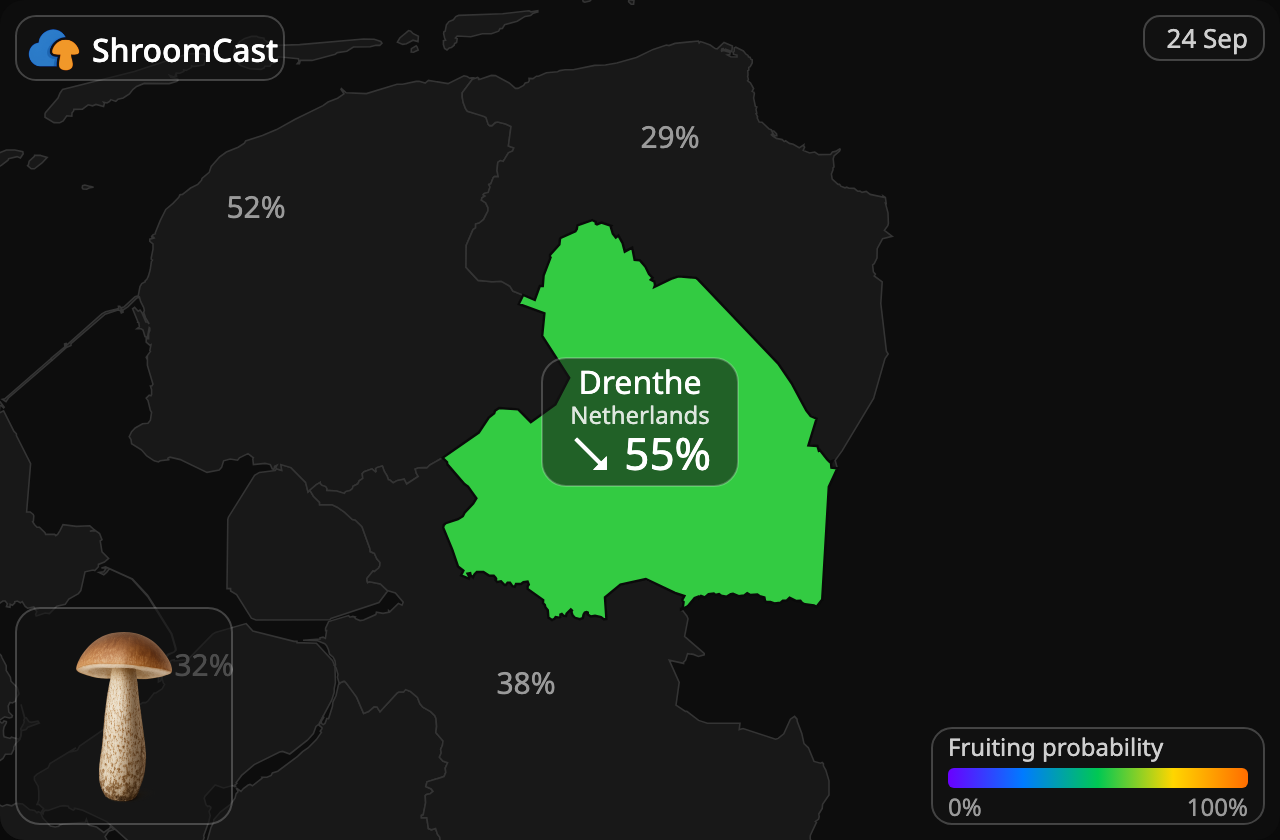 Brunskrubb Drenthe