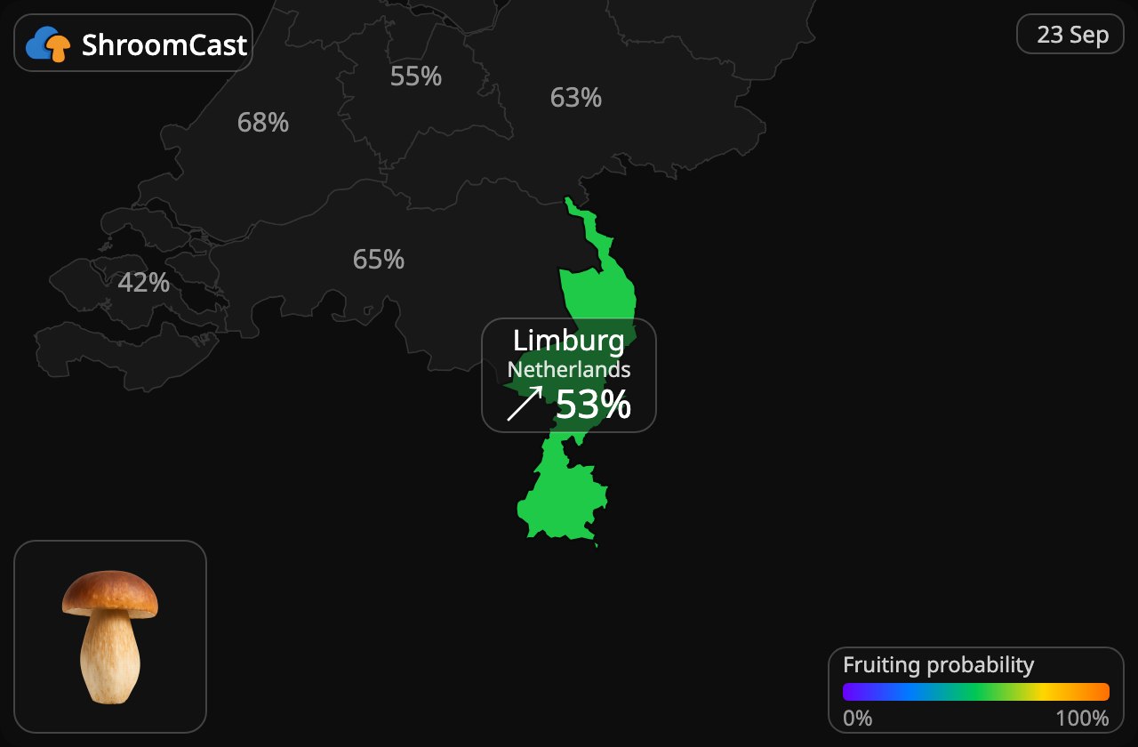 Cèpe Limburg