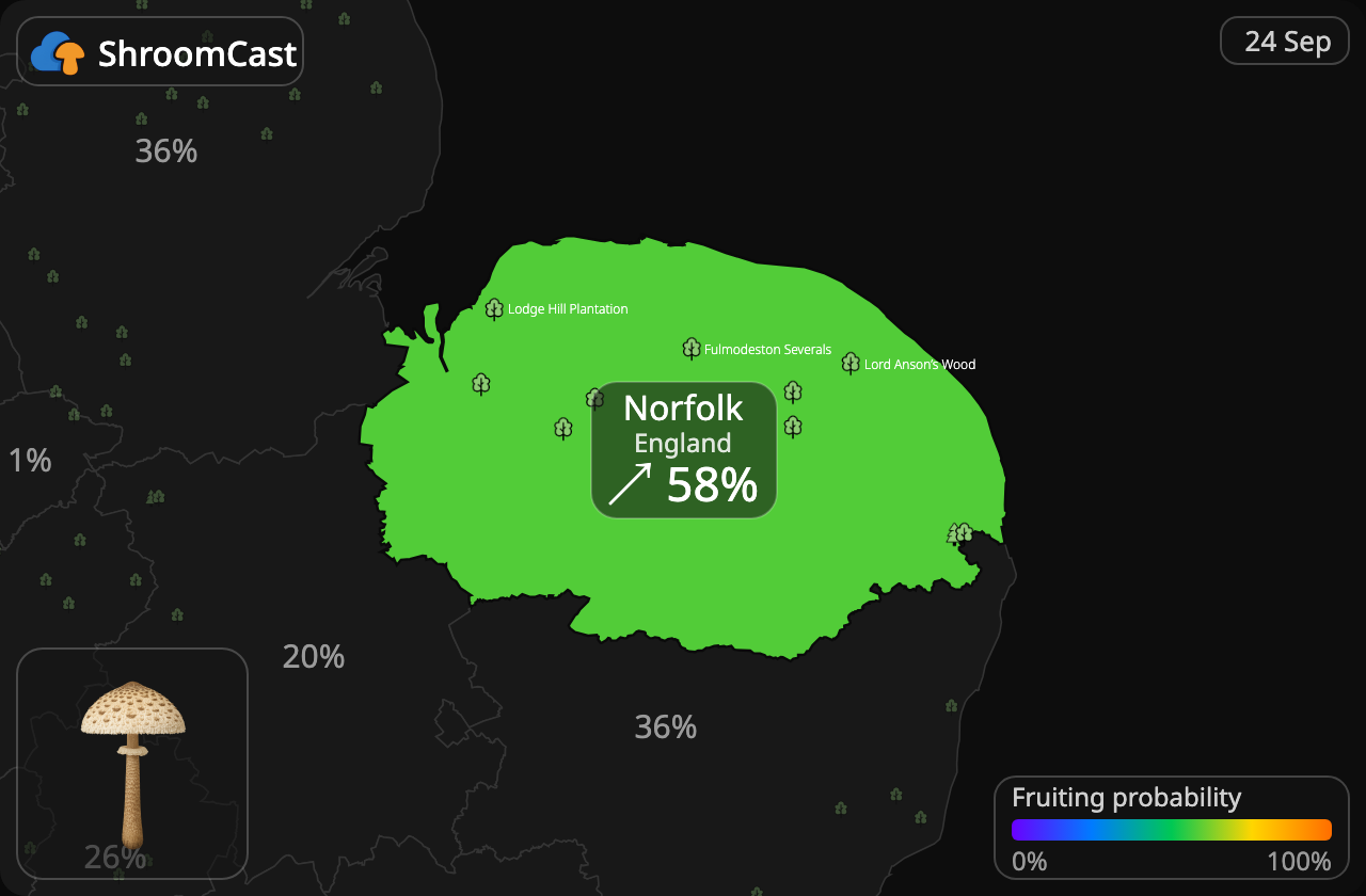 Coulemelle Norfolk