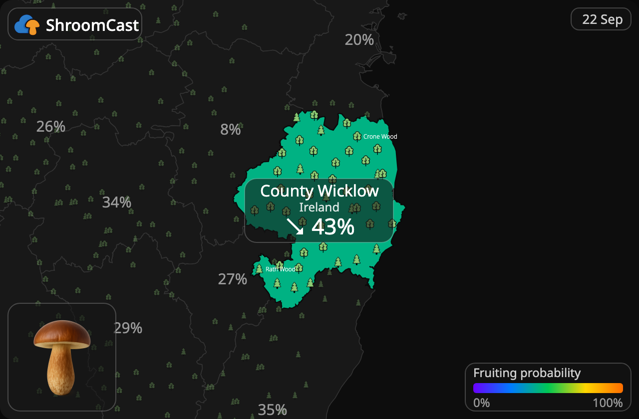 Brunsopp County Wicklow