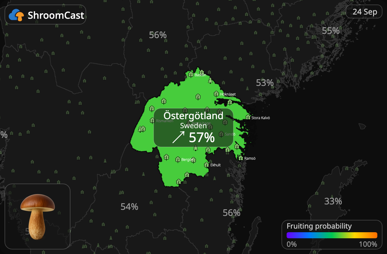 Польський гриб Östergötland
