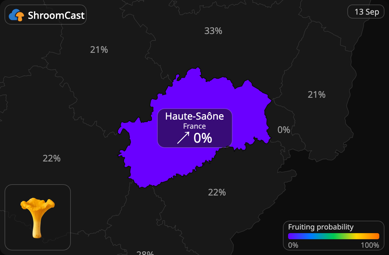 Kantarel Haute-Saône