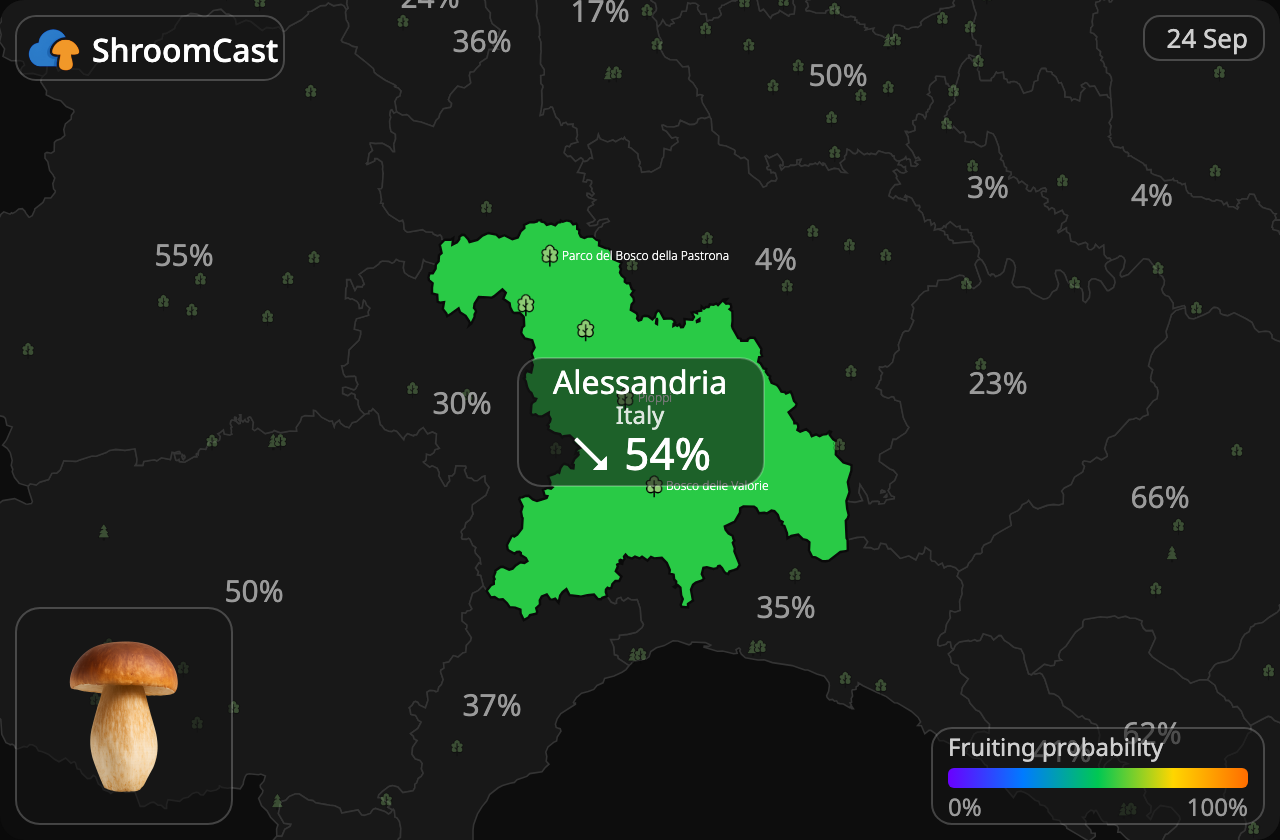 Herkkutatti Alessandria