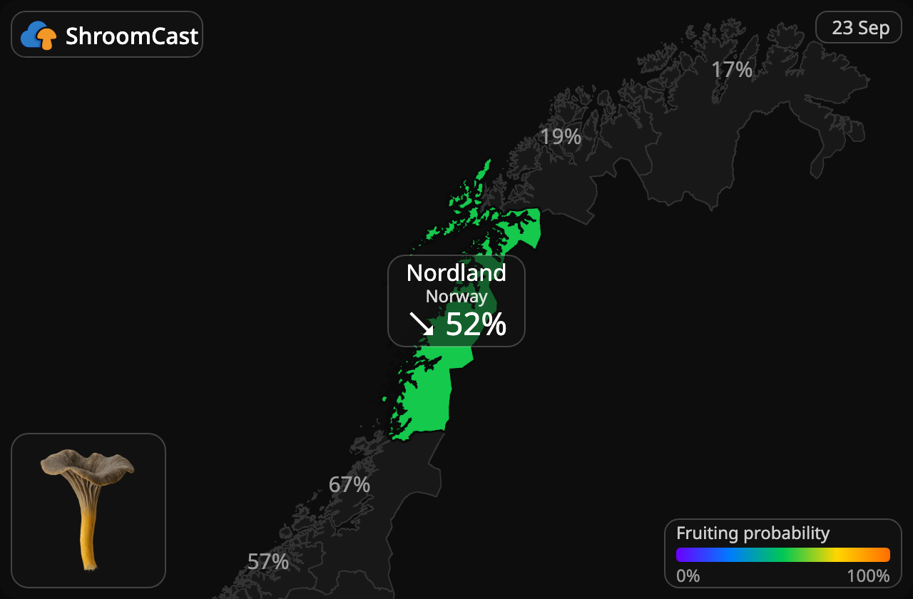 Trattkantarell Nordland