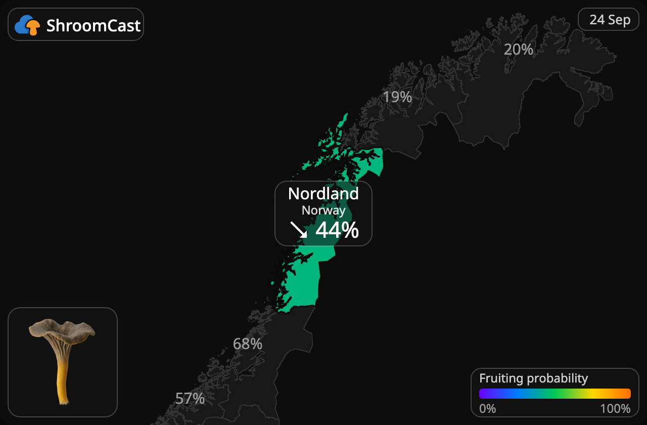 Finferla Nordland