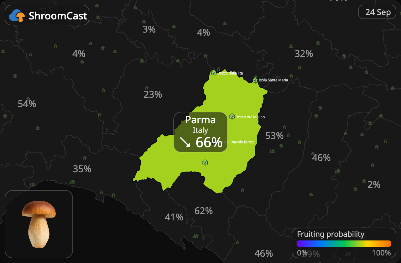 Herkkutatti Parma