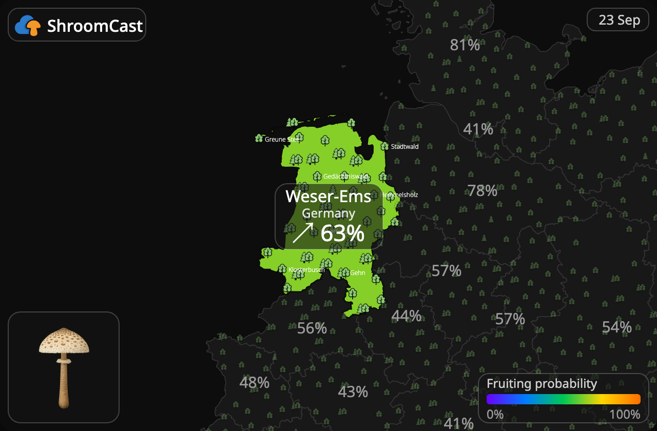 Ukonsieni Weser-Ems