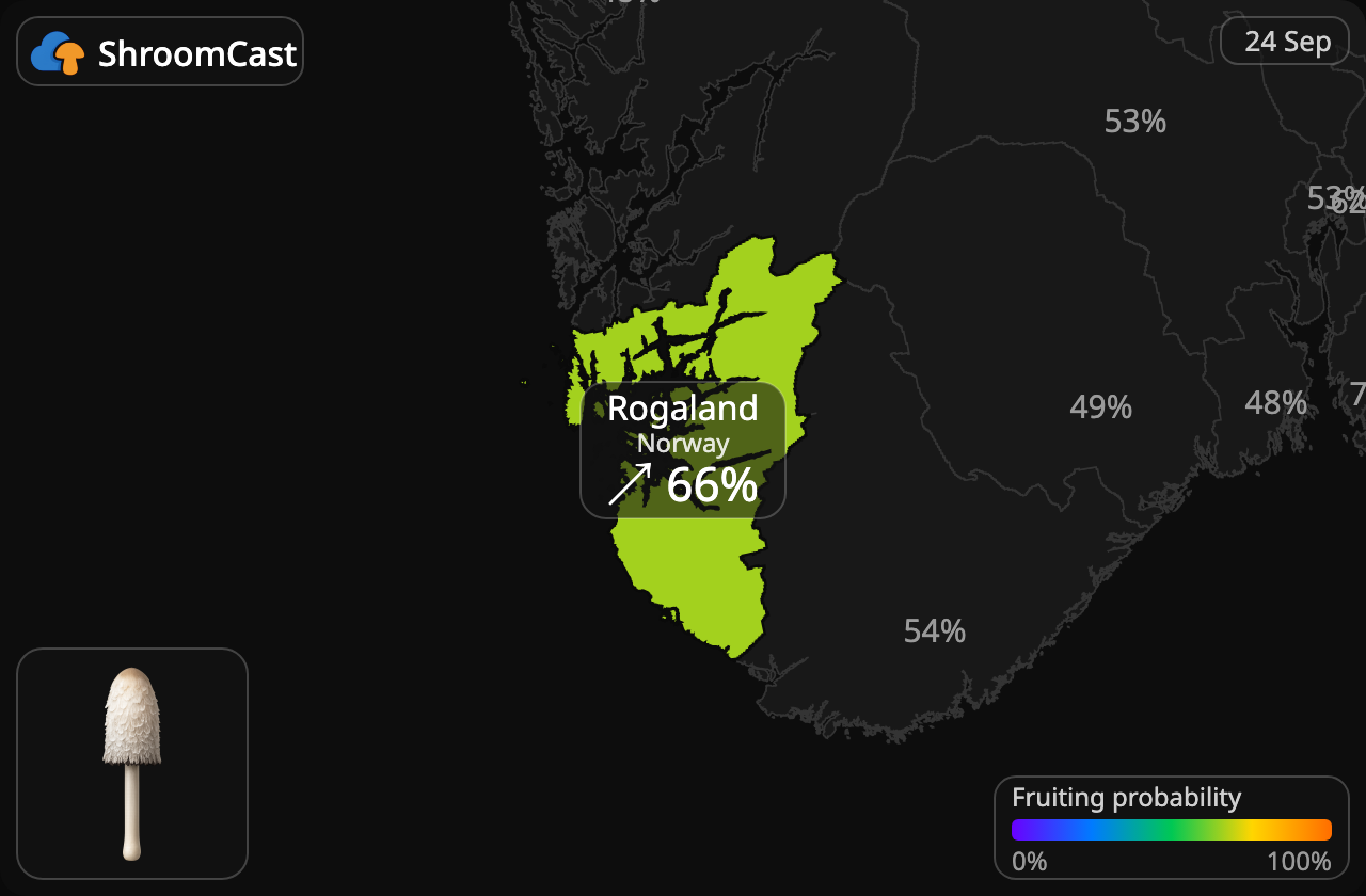 Schopftintling Rogaland