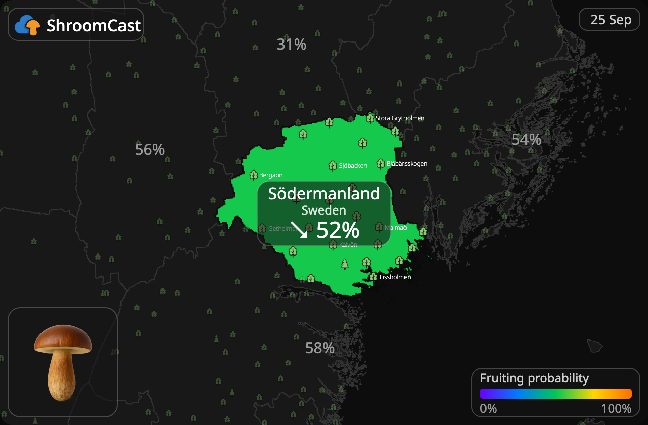 Bolet bai Södermanland