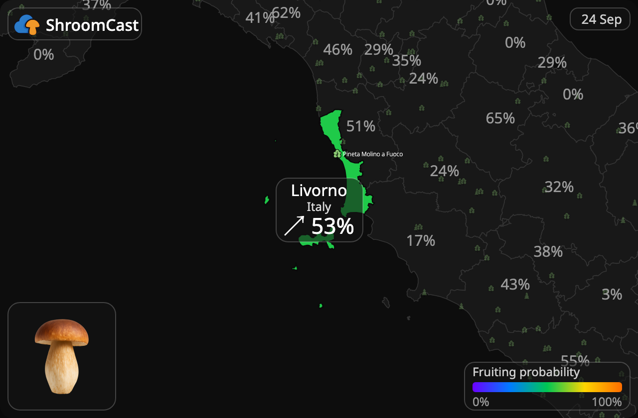 Karljohan Livorno
