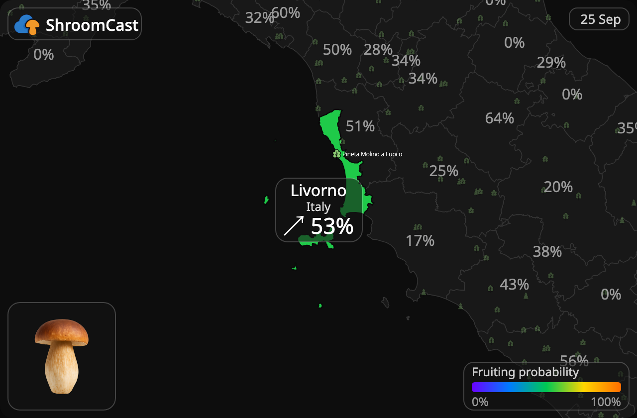 Karljohan Livorno
