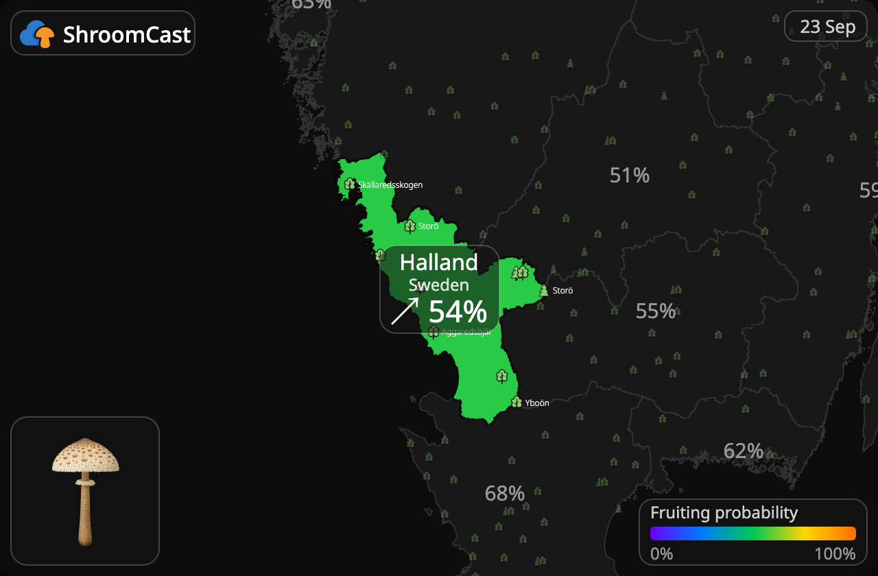 Coulemelle Halland
