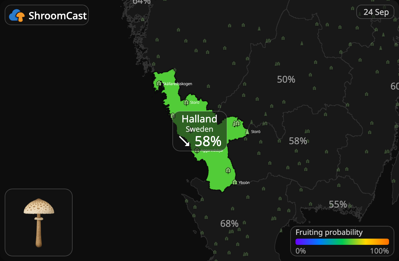 Coulemelle Halland