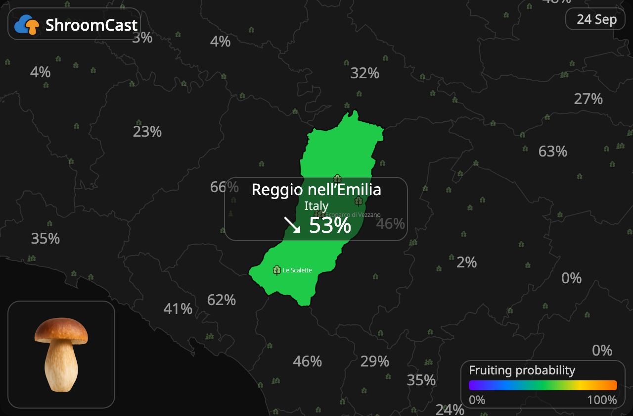 Eekhoorntjesbrood Reggio nell’Emilia