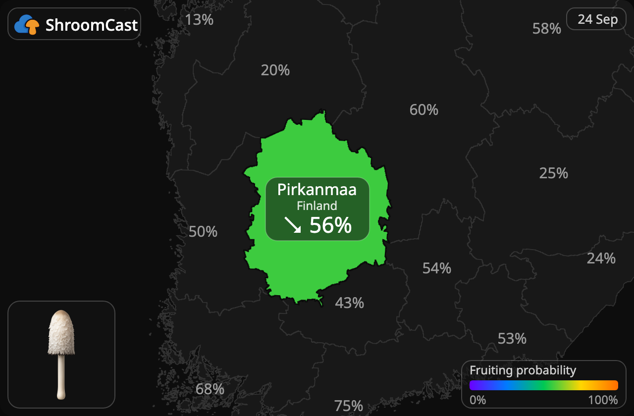 Schopftintling Pirkanmaa