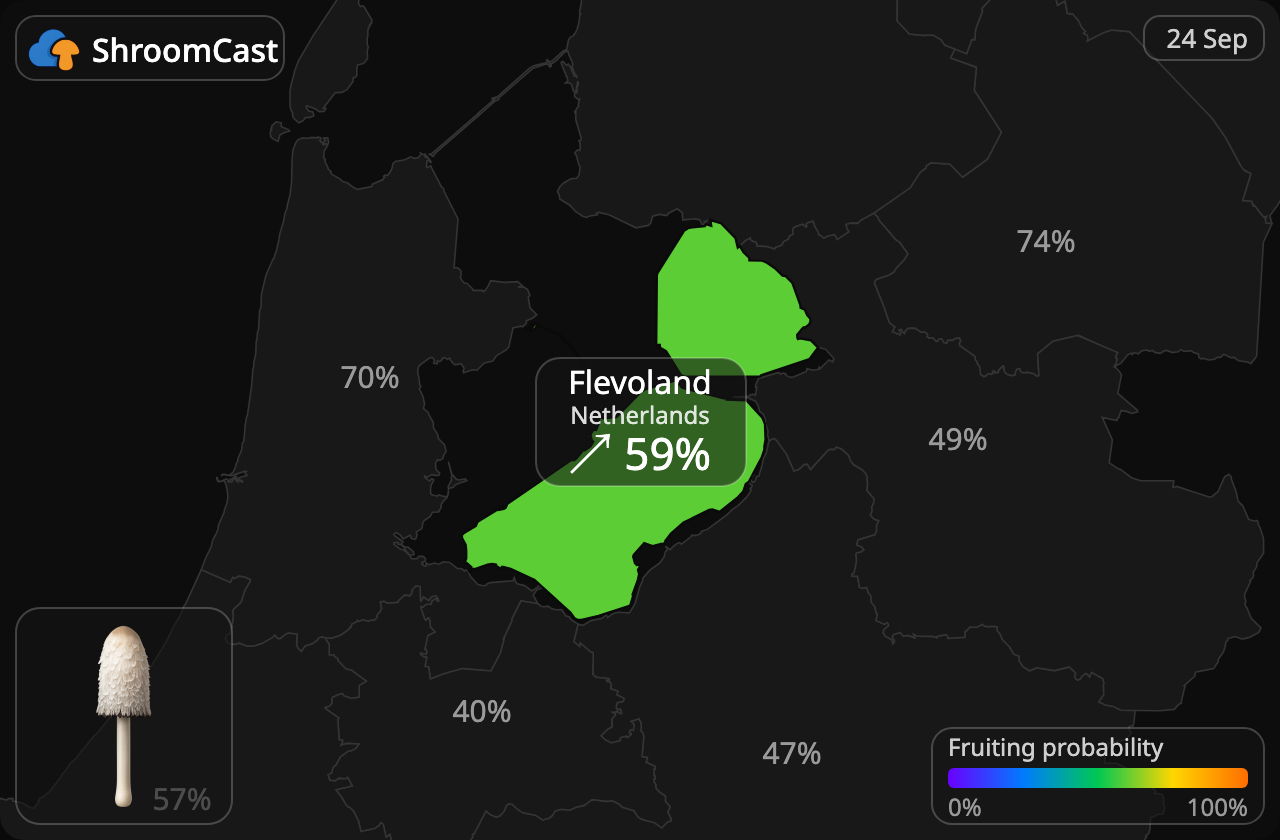 Geschubde inktzwam Flevoland