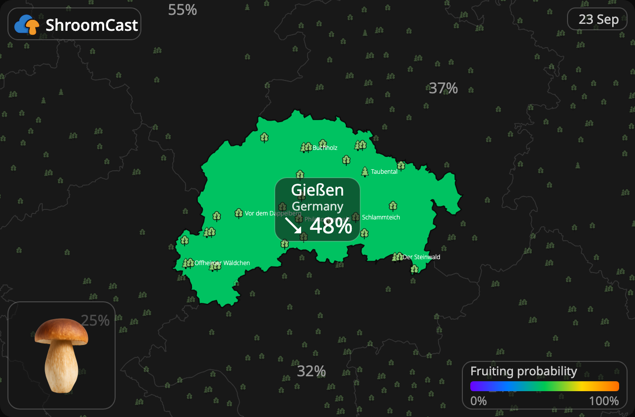 Karl Johan Gießen