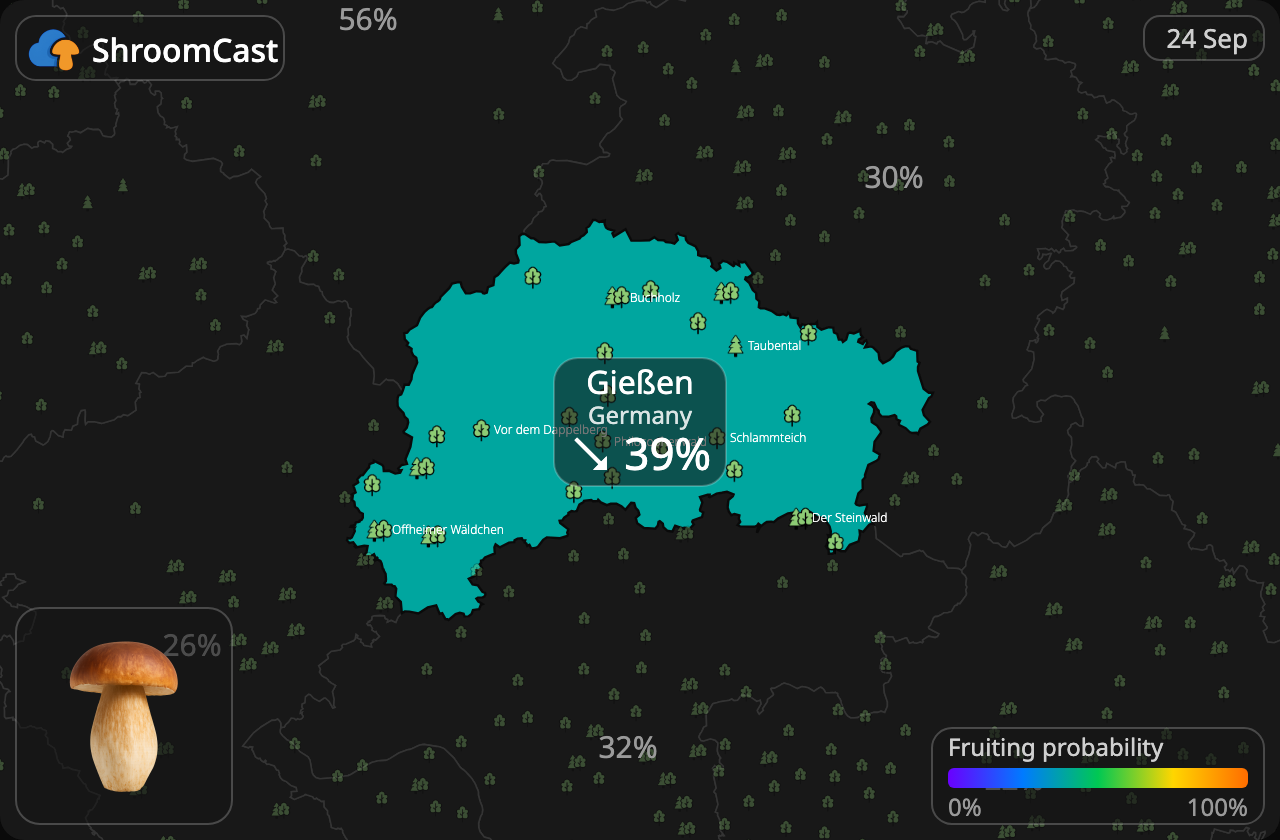 Prawdziwek Gießen