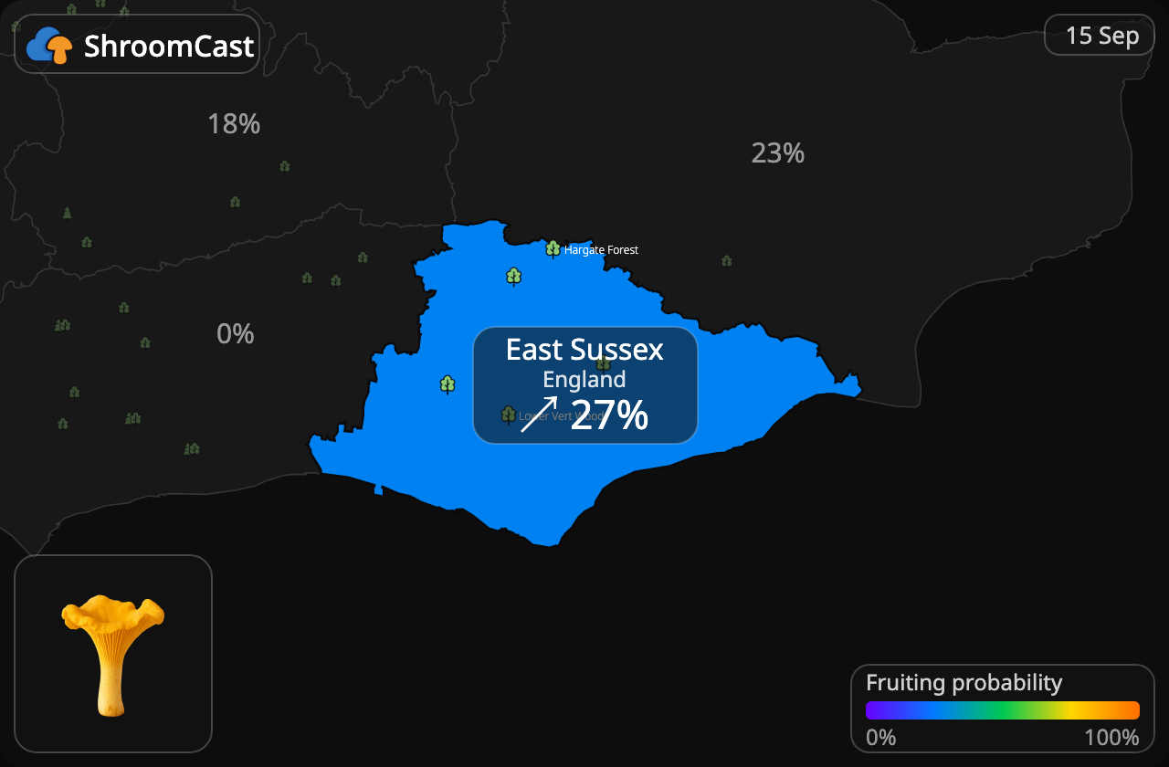 Kurka East Sussex