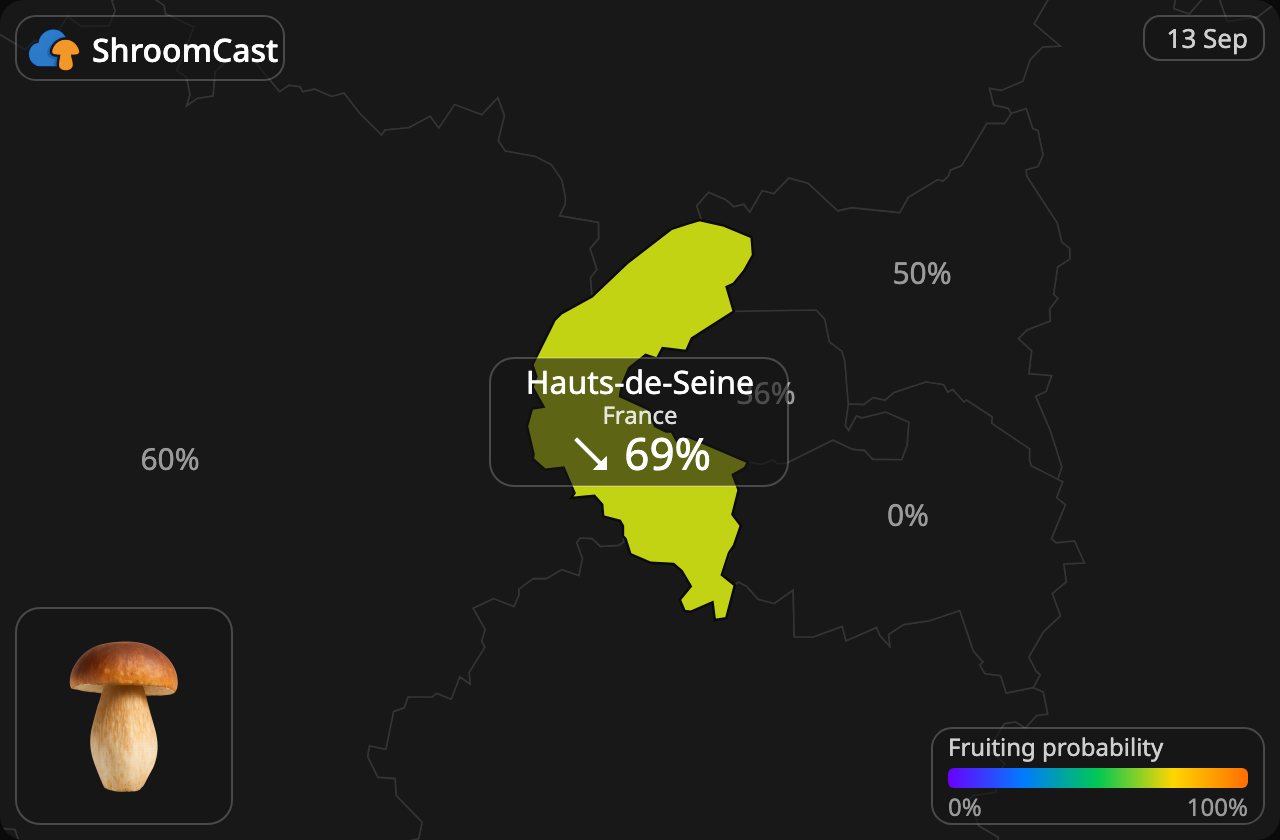 Cèpe Hauts-de-Seine
